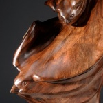 ff-detail1-500