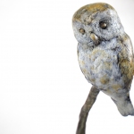 dan-burgette-owl-07-web