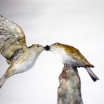 dan-burgette-larks-01-web